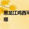 黑龙江鸡西可提供海尔挂烫机维修服务地址在哪
