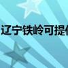 辽宁铁岭可提供海尔挂烫机维修服务地址在哪