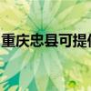 重庆忠县可提供卓力挂烫机维修服务地址在哪