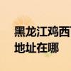 黑龙江鸡西可提供SKG空气净化器维修服务地址在哪