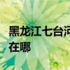 黑龙江七台河可提供红心挂烫机维修服务地址在哪