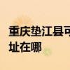 重庆垫江县可提供德龙空气净化器维修服务地址在哪
