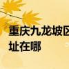 重庆九龙坡区可提供飞利浦挂烫机维修服务地址在哪