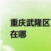 重庆武隆区可提供SKG按摩器维修服务地址在哪