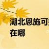 湖北恩施可提供SKG健身器材维修服务地址在哪