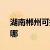 湖南郴州可提供SKG电吹风维修服务地址在哪