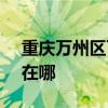 重庆万州区可提供SKG剃须刀维修服务地址在哪