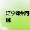 辽宁锦州可提供SKG电吹风维修服务地址在哪