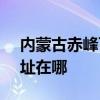内蒙古赤峰可提供SKG健身器材维修服务地址在哪
