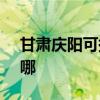 甘肃庆阳可提供SKG剃须刀维修服务地址在哪