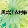 黑龙江农村彩钢房 黑龙江彩钢房厂家哪家好 