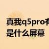 真我q5pro有512g版本吗 真我Q5pro搭载的是什么屏幕 