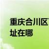 重庆合川区可提供SKG健身器材维修服务地址在哪
