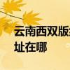 云南西双版纳可提供SKG按摩器维修服务地址在哪