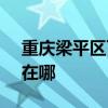 重庆梁平区可提供SKG电吹风维修服务地址在哪