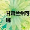 甘肃兰州可提供SKG电吹风维修服务地址在哪