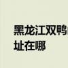 黑龙江双鸭山可提供SKG剃须刀维修服务地址在哪