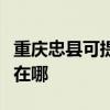 重庆忠县可提供健康之家足浴盆维修服务地址在哪 重庆忠县可提供健康之家足浴盆维修服务地址在哪