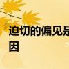 迫切的偏见是别人害怕的时候你不能贪婪的原因