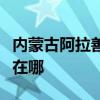 内蒙古阿拉善可提供明基投影机维修服务地址在哪