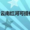 云南红河可提供松下投影机维修服务地址在哪 云南红河可提供松下投影机维修服务地址在哪