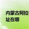 内蒙古阿拉善可提供NEC投影机维修服务地址在哪