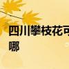 四川攀枝花可提供明基投影机维修服务地址在哪