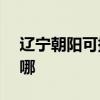 辽宁朝阳可提供NEC投影机维修服务地址在哪