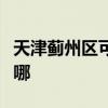 天津蓟州区可提供理光投影机维修服务地址在哪