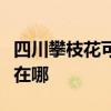 四川攀枝花可提供卡西欧投影机维修服务地址在哪