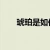 琥珀是如何形成的？琥珀收集和维护