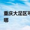 重庆大足区可提供理光投影机维修服务地址在哪