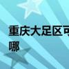 重庆大足区可提供佳能投影机维修服务地址在哪