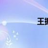 王振忠 福州市历任公安 王振忠 福州市历任公安