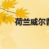 荷兰威尔普小镇 讲述着荷兰水上历史