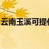 云南玉溪可提供纽曼投影机维修服务地址在哪
