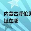 内蒙古呼伦贝尔可提供纽曼投影机维修服务地址在哪