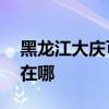 黑龙江大庆可提供aigo投影机维修服务地址在哪