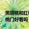 黑胡桃和红樱桃门哪个好看 求大神解答黑胡桃门好看吗 