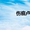 伤痕卢新华 伤痕经典语句赏析