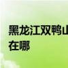 黑龙江双鸭山可提供三菱投影机维修服务地址在哪