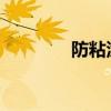 防粘涂料的配方及特点优质