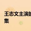 王志文主演的电视剧 王志文评分最高的6部剧集