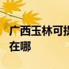 广西玉林可提供OKI激光打印机维修服务地址在哪 广西玉林可提供OKI激光打印机维修服务地址在哪