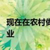 现在在农村做什么赚钱 农村9个比较赚钱的职业 现在在农村做什么赚钱 农村9个比较赚钱的职业