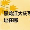 黑龙江大庆可提供佳能激光打印机维修服务地址在哪