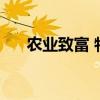 农业致富 特色农业：致富的“金钥匙”