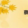 蔡建国沈冰 沈冰百度