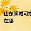山东聊城可提供理光激光打印机维修服务地址在哪