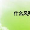 什么风残月 风残月前面的一个字